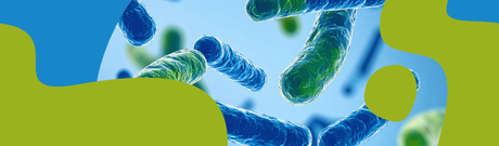 How to Choose the Best Probiotic Supplement